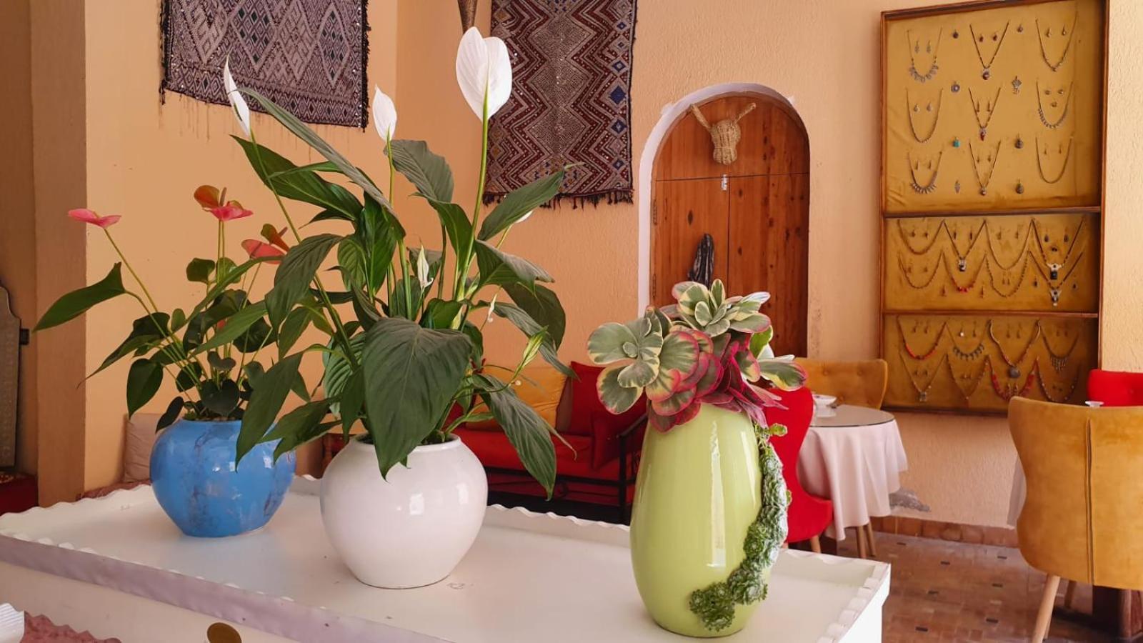 Riad Golf Stinia 2 Meknès Extérieur photo